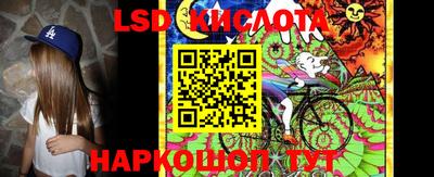 крисы Рыбинск