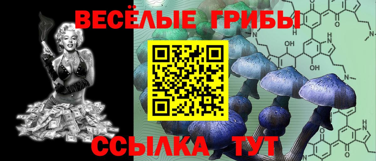 Псилоцибиновые грибы Cubensis Сафоново